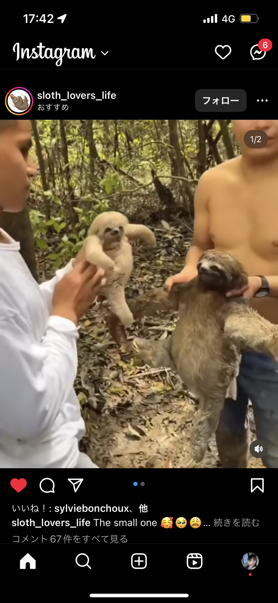 Cute sloth rescue